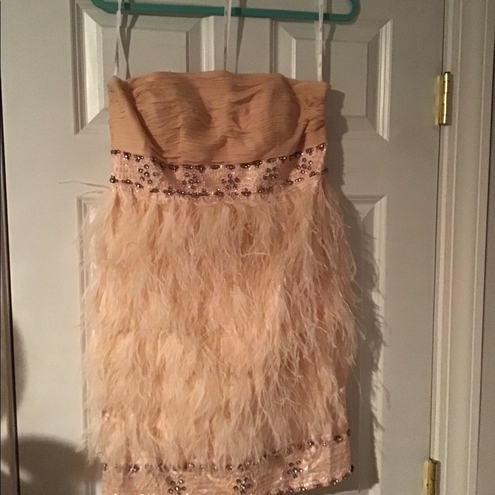 Sue Wong formal Dress